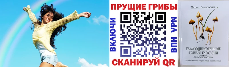 Псилоцибиновые грибы Psilocybe  цены наркотик  Таганрог 